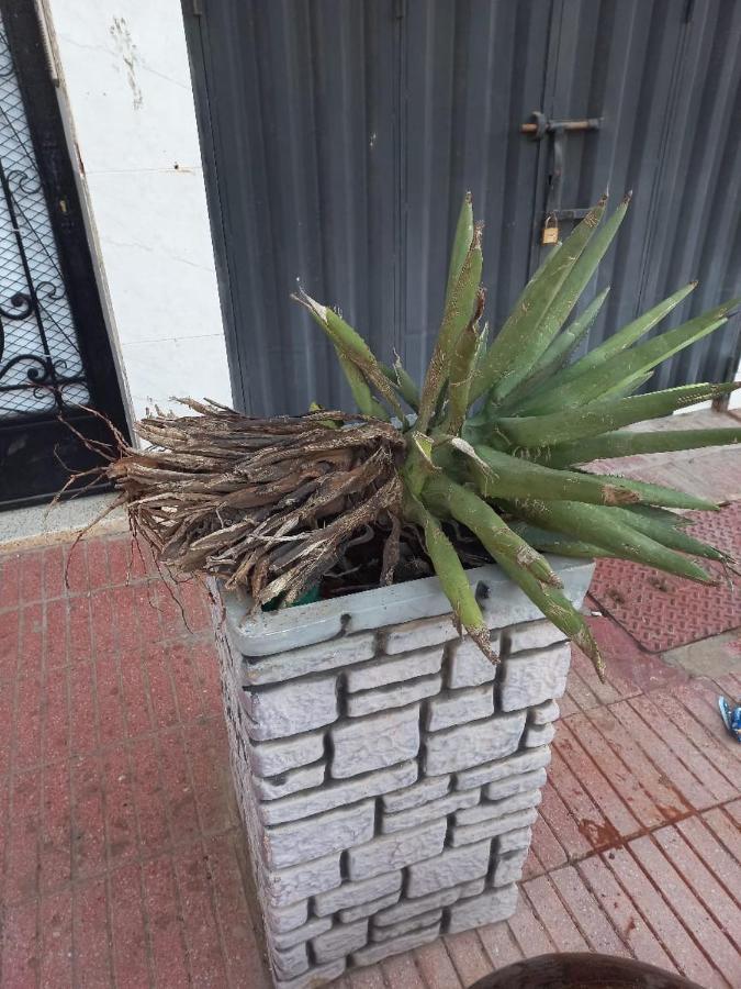 Appartement Hassania Καζαμπλάνκα Εξωτερικό φωτογραφία